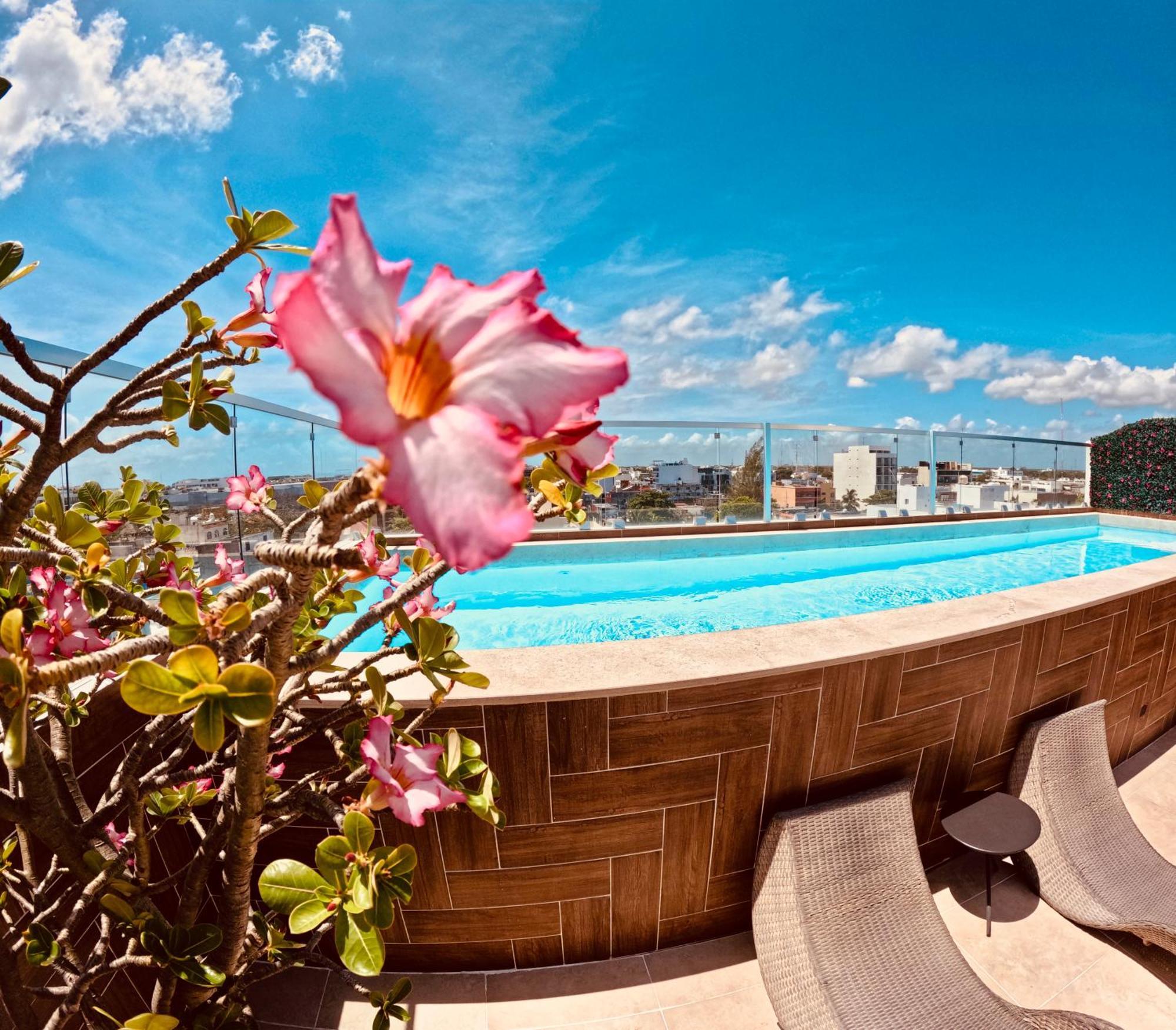 Studios With Roofpool In Vanessa 24 Playa del Carmen Dış mekan fotoğraf